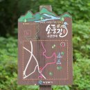 Re: [2026/ 07/ 26(일)] 수락산 천문폭포 답사기(글. 사진 노점호) 이미지