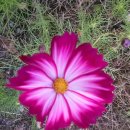 장창수농장 이미지