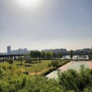 잔디밭 어싱 효과 | 잔디밭 맨발걷기 후기