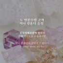 블루밍메모리 이미지