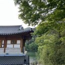 모라스테이 이미지