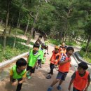 솔향태권도 이미지