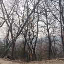 지엘에이디자인 | 메르쏭 하루일기 : 3월 셋째주 ~ 넷째주 일상