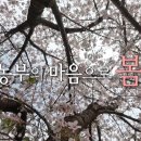 황수만 농장 KNN
