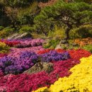 치악목장 이미지