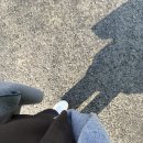 내돈내산 신촌 스터디룸 두드림 스터디룸 캠면접 후기 | 승무원·화상면접 준비하기 좋은 면접 스터디룸