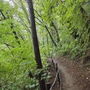 10월 14일 함백산·민둥산 산행 후기 🌿 – 블랙야크 100대 명산 &amp; 강원 챌린지 함께한 하루 – 이미지