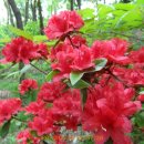 동남아파트 이미지