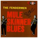 Mule SkinneBlues -Fendermen- 이미지