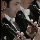 Mahler - Symphony No. 1 "Titan" (Bernstein, VPO) FULL VIDEO 이미지
