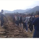 김영삼농장 이미지