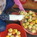 동의건강원 이미지