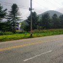 (주)푸르내
