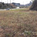 서신면사무소 이미지