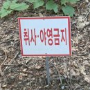 수락리 | 대전 근교 논산 대둔산 수락계곡 추천 주차 물놀이 평상 부대시설