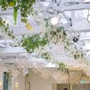 터틀하우스 이미지