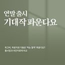 신약 파운다요 출시일, 효과, 가격 비교 총정리! (수정 재업로드)