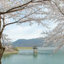 죽림정사~동화호 이미지