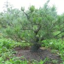 운곡농장 이미지