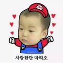 버블샤인 이미지