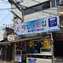 부산산오징어 | 부산온천장맛집 막썰어횟집 산오징어 동래에서 가성비 좋은 횟집 후기