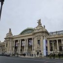 풀밭나라 | 몽마르트르 언덕, 사크레쾨르 대성당, 플라스 달리다, 프티 팔레 뮤지엄패스 사용 가볼만한 곳 추천 후기