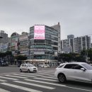 루니아의원 이미지