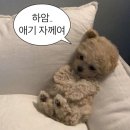 유천목장 이미지