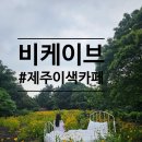 숲과함께 | 카페 안에 동굴이 있는 제주이색카페 후기, 숲과 정원이 함께 있는 감성 공간 비케이브
