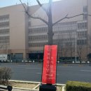 에이스빌딩 맞은편 보도 | [WD] 안양 더파티움 웨딩홀 뷔페 시식 솔직후기 (+ 가는 방법, ATM기기 위치)