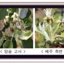 서리축산 이미지