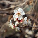 만덕동주민자치센터 이미지