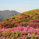 허브밸리(원형광장) 이미지