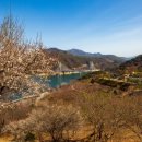 관수정 | 보성고 57.야유회