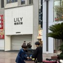 벤자민&데이지 | [중국 상하이] #3 벤자민 클로하우저 만나려고 상하이...전 세계 유일 주토피아 테마파크 다녀온 후기)