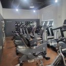 트랜스바디짐 이미지