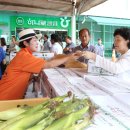 농협살미 이미지