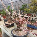 소사농원 이미지