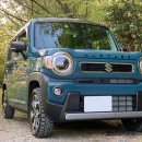 카데렐라 이미지