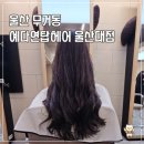 탑스타일헤어 | 울산대 미용실 예다연탑헤어 그레이스 펌 후기