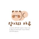 마곡 에스테틱 비영뷰티 에너지테라피 바디 관리 추천