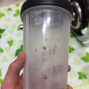 아폴로 헬스클럽 이미지