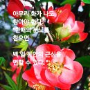 백일세탁 이미지