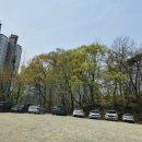 연기면_원수산MTB공원 이미지