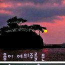 371 이미지