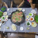 심성 농장 Daum카페