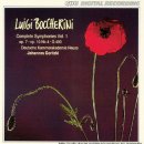 루이지 보케리니-교향곡 in D major, G.490/요하네스 고리츠키(지휘)노이스 도이치 카메라아카데미 실내악단 이미지