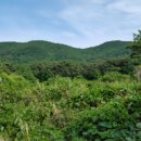 광성리광제 이미지