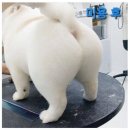 강아지미용실 이미지