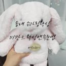 팔앤팔 이미지